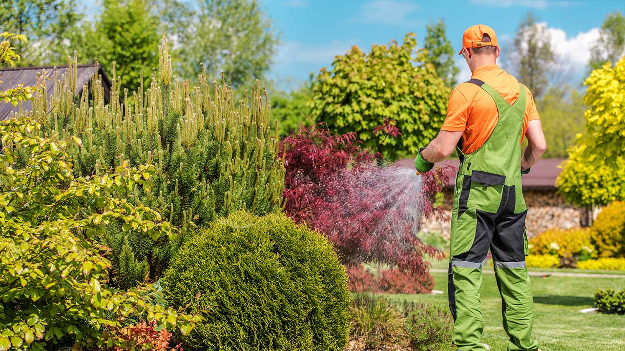 The Benefits of Pressure Washing and Snow Removal for Property Safety
